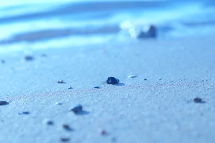 nature beach HD Desktop Wallpaper | Background Image
