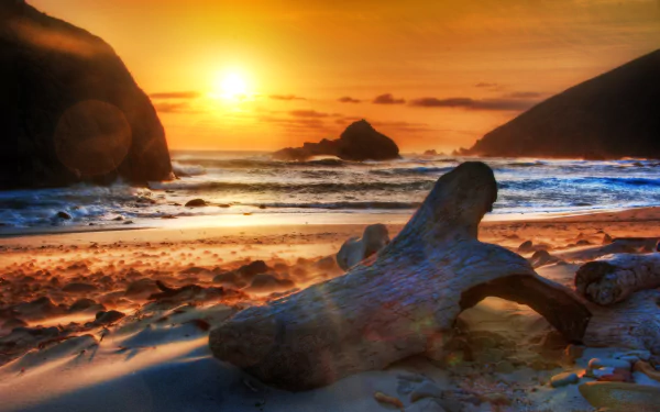 Sunset over a California seashore with waves, driftwood on the sandy beach, and vibrant sky, captured in a 4K Ultra HD seascape wallpaper.
