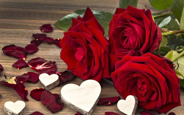 HD wallpaper featuring three vibrant red roses, scattered rose petals, and small white wooden hearts on a wooden surface, evoking a romantic and natural ambiance.