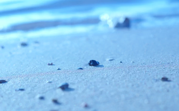 nature beach HD Desktop Wallpaper | Background Image
