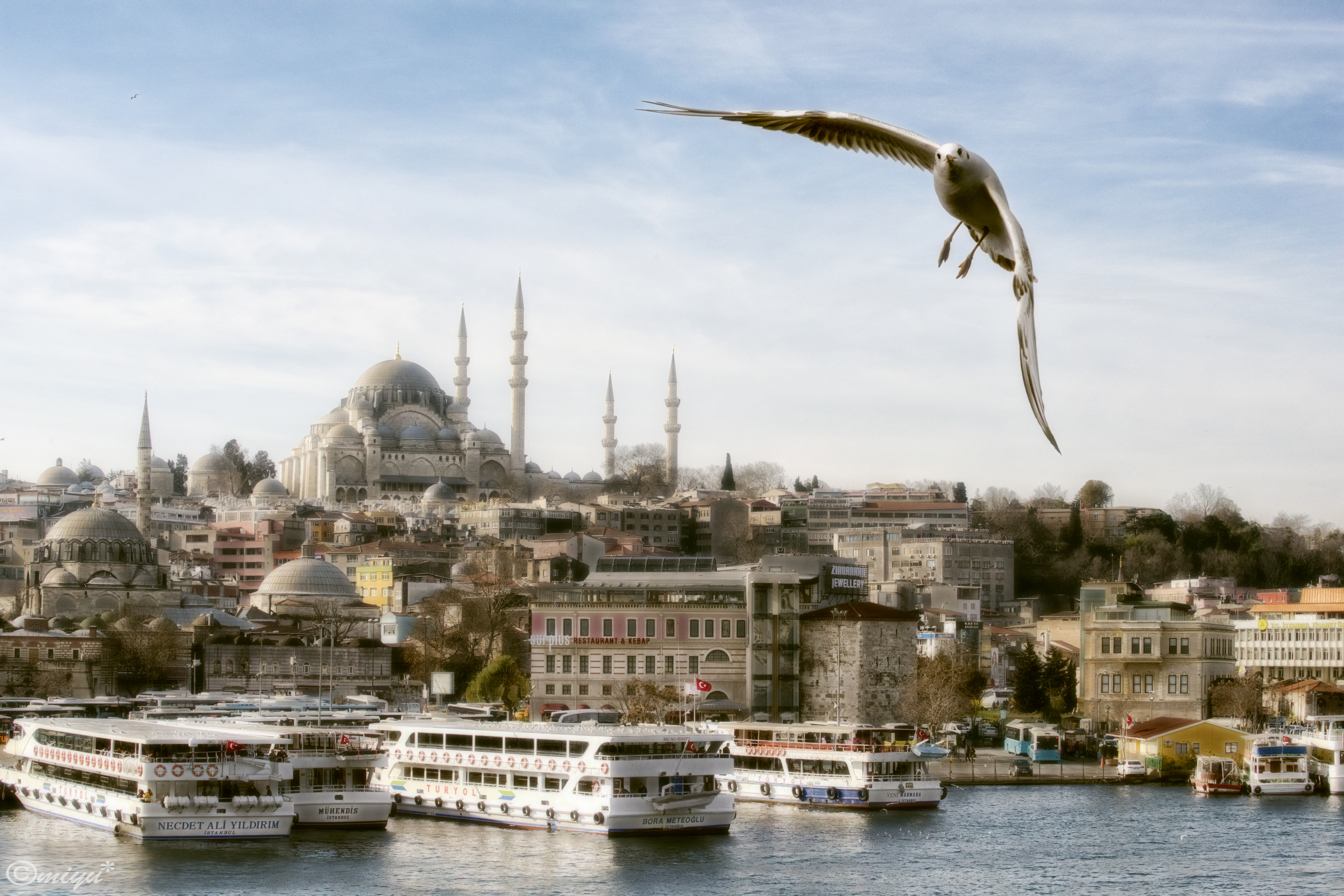 View of the City with Suleymanie Cami in Istanbul by vanilla_graph