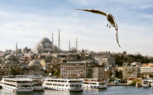Religious Suleymaniye Mosque Mosques Istanbul Turkey Seagull HD Wallpaper | Background Image
