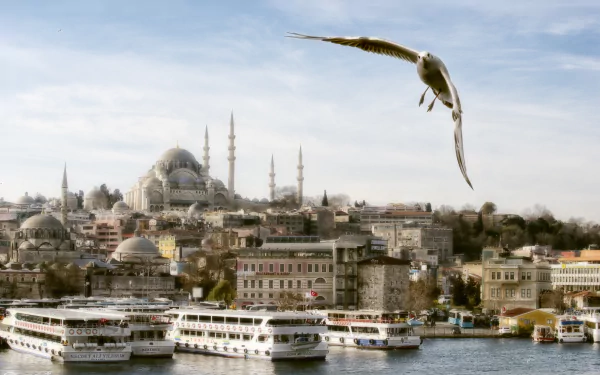 A seagull soars over Istanbul’s waterfront with boats docked below and the majestic Süleymaniye Mosque rising in the background under a soft, cloudy sky.