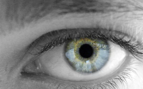 woman eye HD Desktop Wallpaper | Background Image