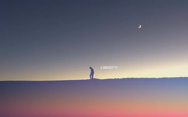 HD PC desktop wallpaper featuring a lone figure walking under a crescent moon against a gradient sky, with the word Liquicity highlighting the music theme.