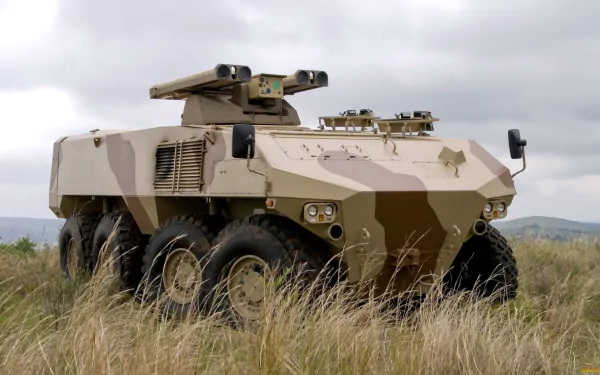 HD PC wallpaper of an RG41 armored personnel carrier, a military vehicle in desert camouflage parked in tall grass beneath a cloudy sky