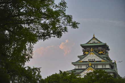 cloud branch Japan sky man made Osaka Castle HD Desktop Wallpaper | Background Image