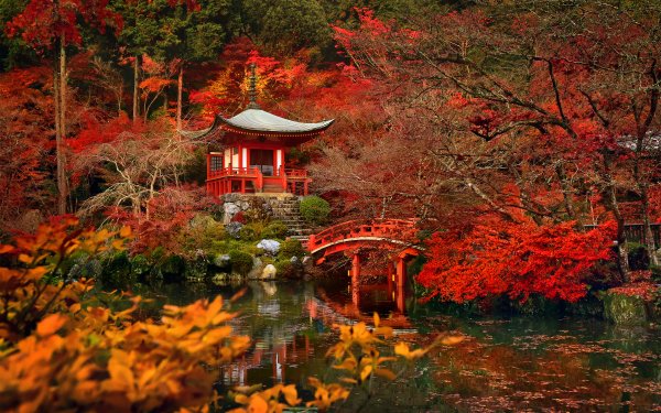 Religious Daigo-ji Temples Kyoto Japan Fall Pagoda Bridge Nature HD Wallpaper | Background Image