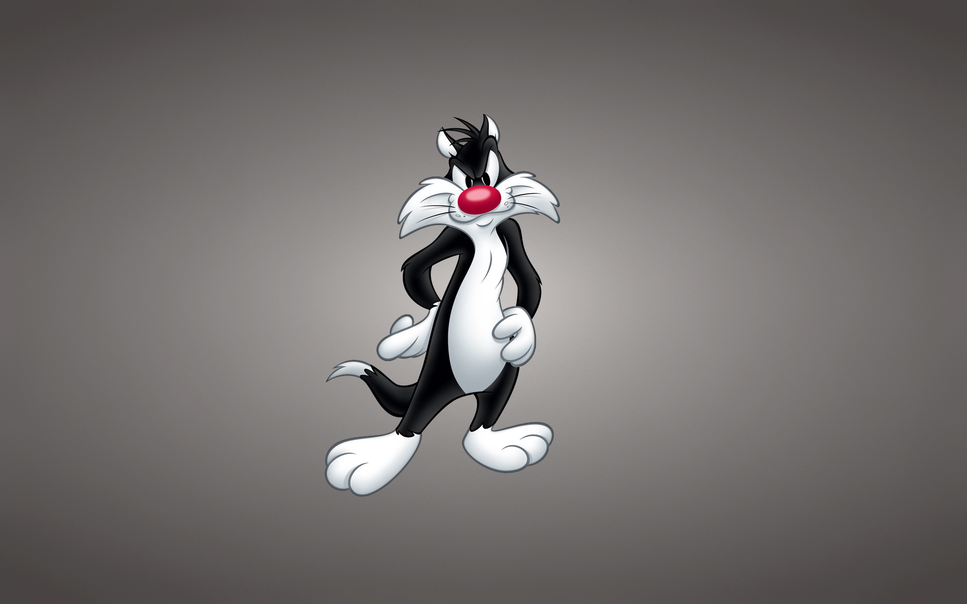 Sylvester The Cat Wallpaper