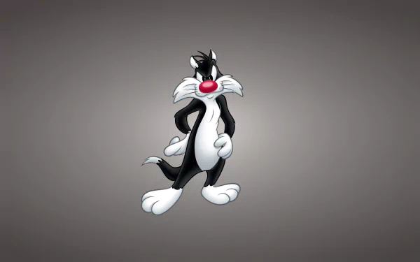 HD wallpaper featuring Sylvester from the Looney Tunes TV show, showcasing his iconic black and white fur with a playful pose against a subtle gray background.