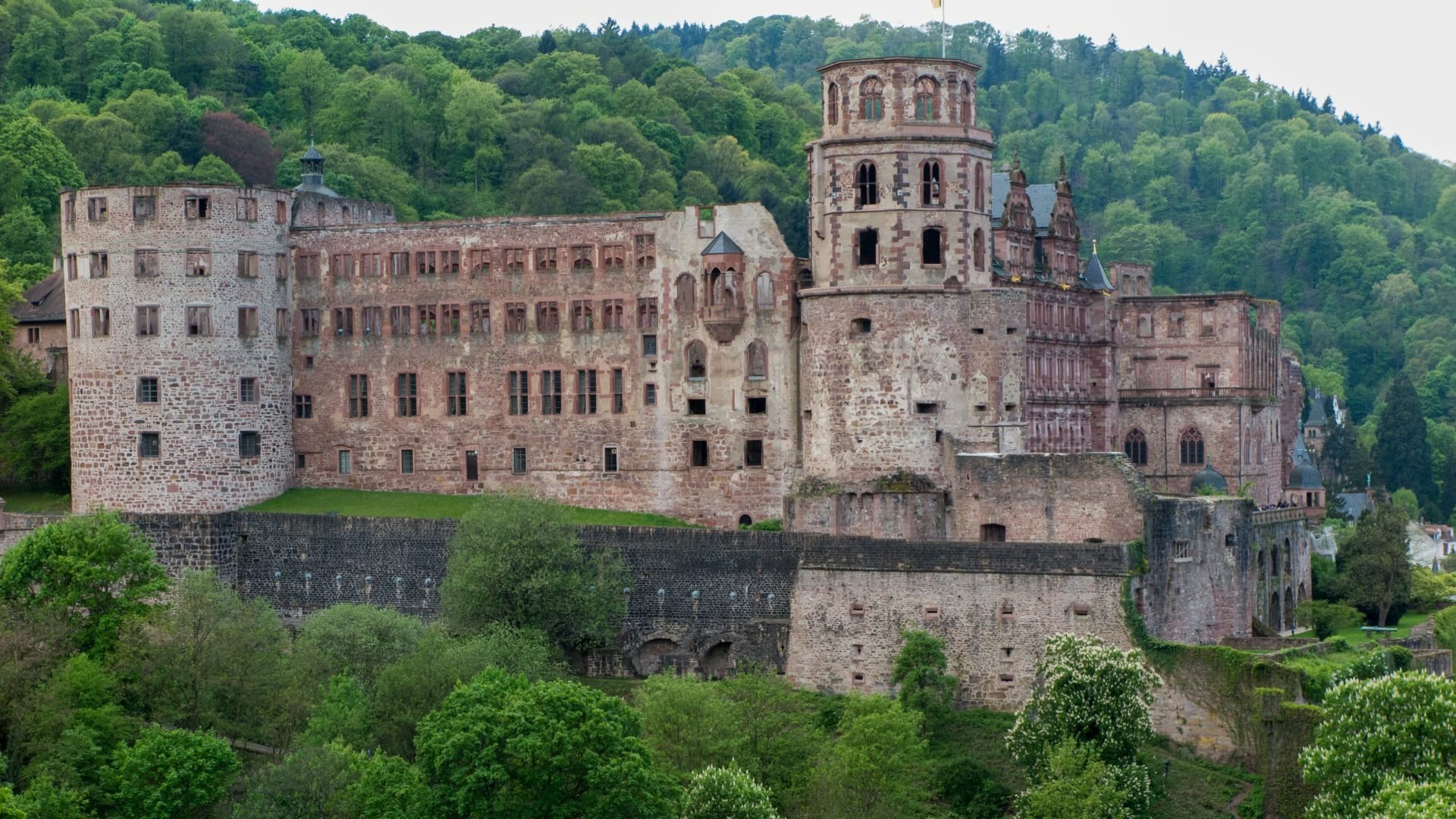 Download Man Made Heidelberg Castle HD Wallpaper