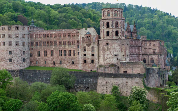 man made Heidelberg Castle HD Desktop Wallpaper | Background Image