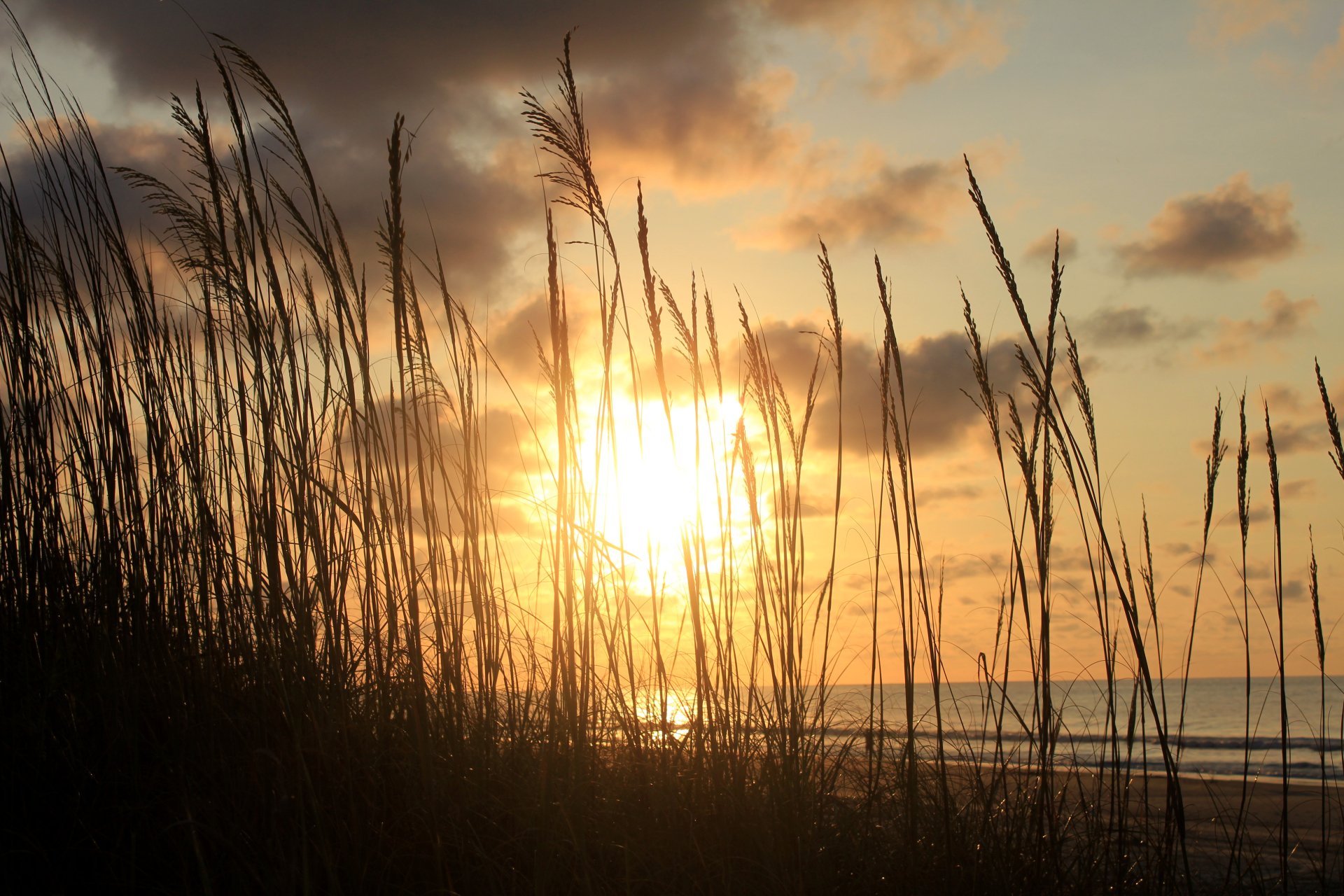 Download Nature Sunset 4k Ultra HD Wallpaper