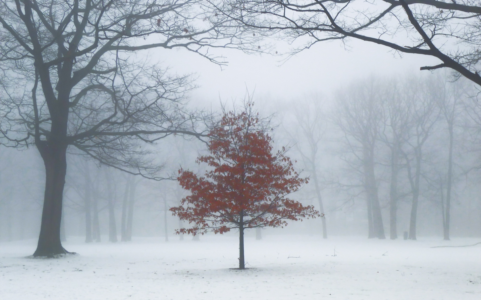 Snow Fog ~ lll by ~EvidencE~
