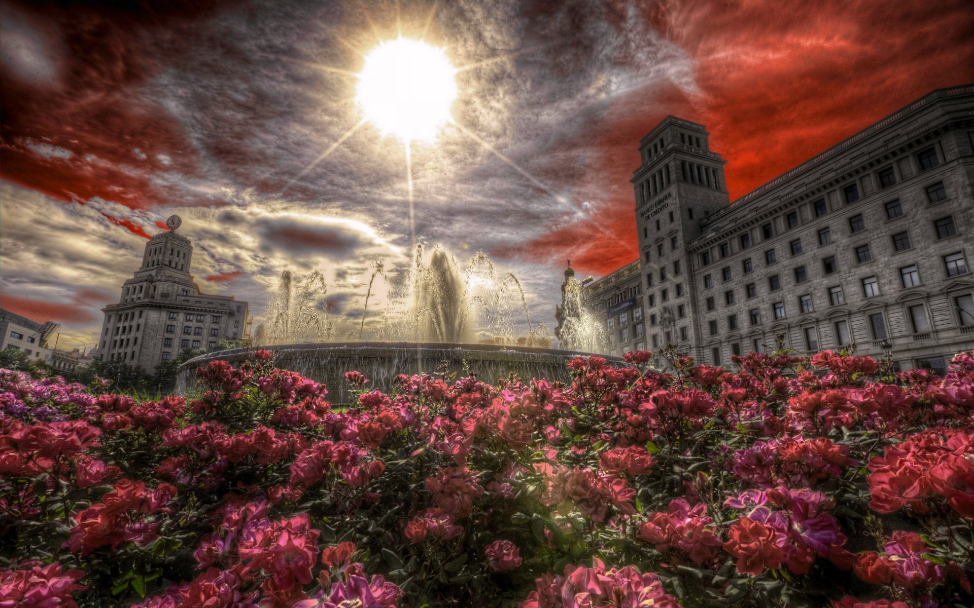2K Quad HD PC desktop wallpaper: Barcelona cityscape with man-made central fountain, sunburst and dramatic red clouds above historic buildings, foreground carpet of pink roses.