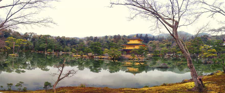  金閣寺 - Temple of the Golden Pavilion Panorama
