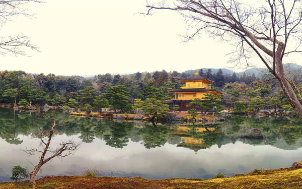The Temple of the Golden Pavilion (Kinkaku-ji) in Kyoto, Japan, reflected peacefully in a lake, surrounded by serene nature and trees.