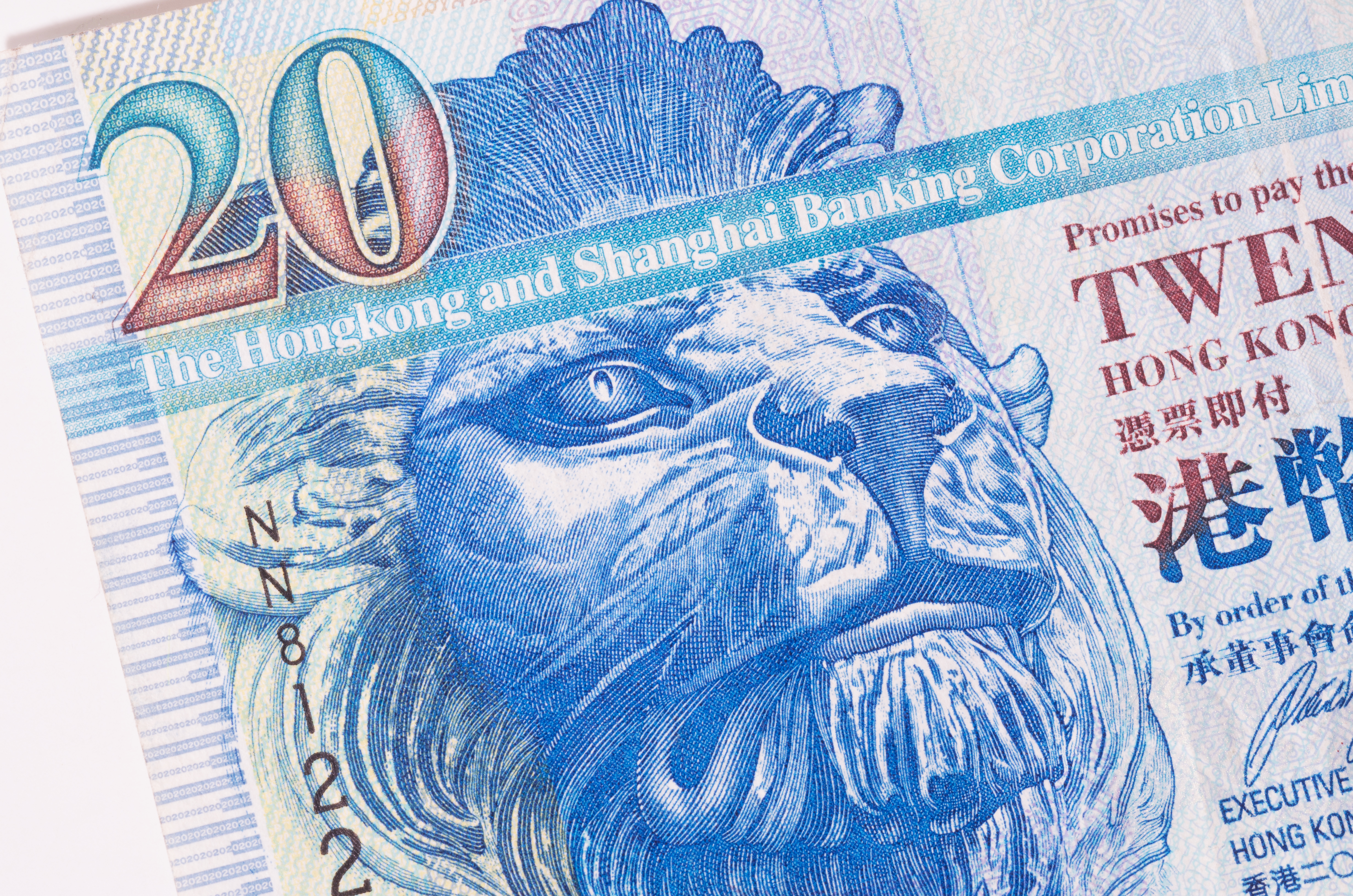 Man Made Hong Kong Dollar HD Wallpaper | Background Image