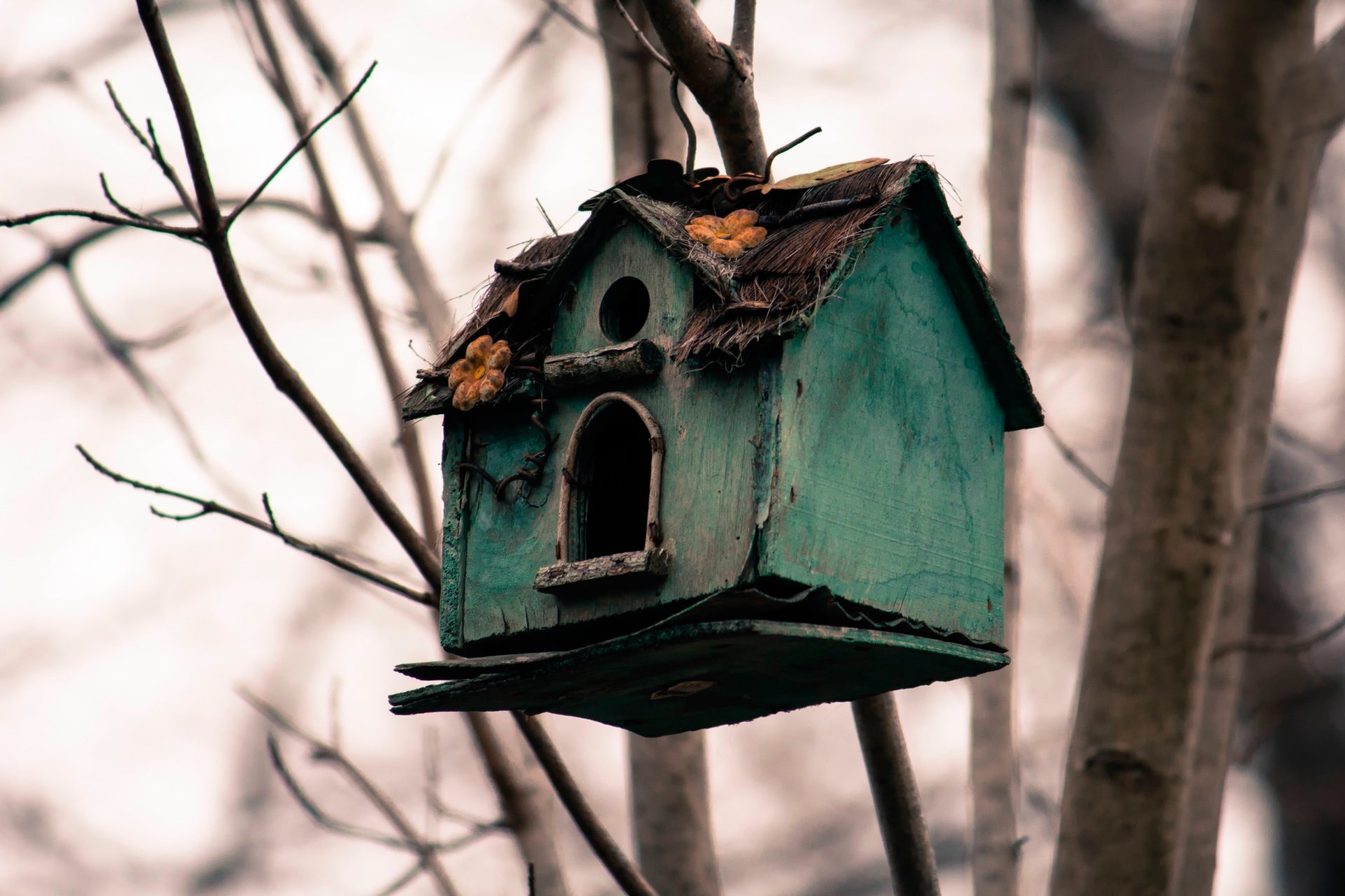 Download Man Made Bird House HD Wallpaper