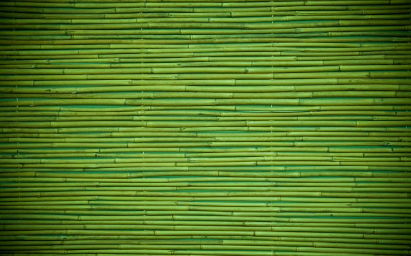 Artistic Wood Bamboo HD Wallpaper | Background Image