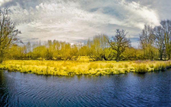 Nature River Path Landscape HD Wallpaper | Background Image
