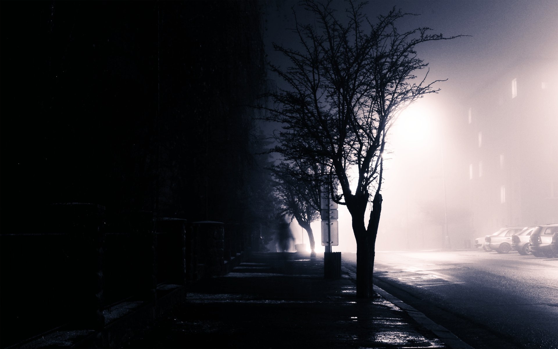 HD desktop wallpaper of a dimly lit street scene with silhouettes of leafless trees and mist creating a mysterious, man-made urban atmosphere.
