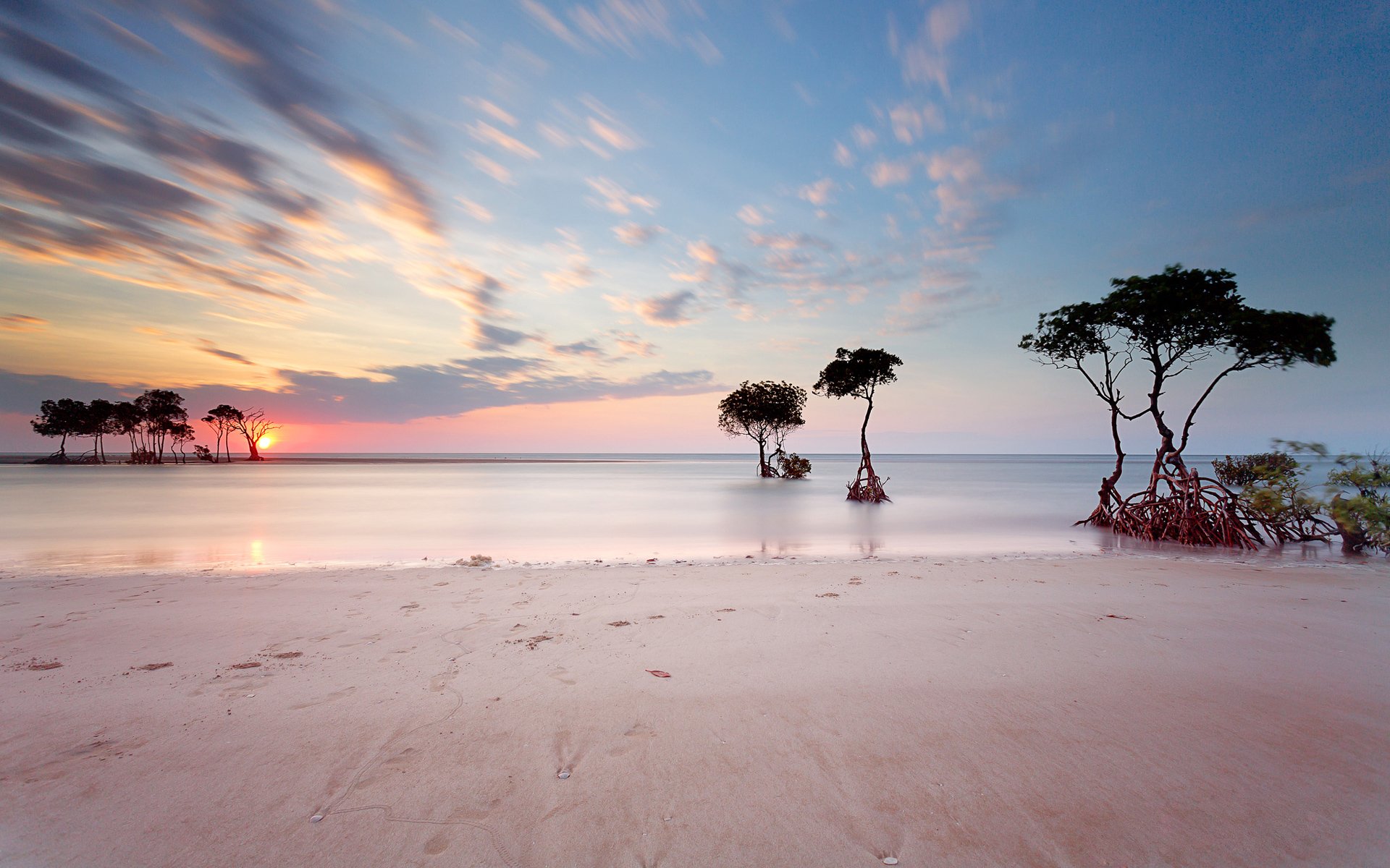 Download Sky Sand Water Tree Sunset Nature Beach Seascape HD Wallpaper