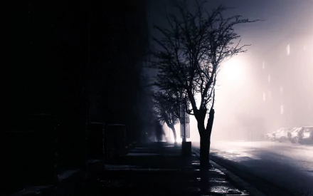 A foggy street scene at night, featuring silhouetted trees alongside a wet pavement, illuminated by soft streetlights, creating a mysterious urban atmosphere. Perfect as a HD desktop wallpaper.