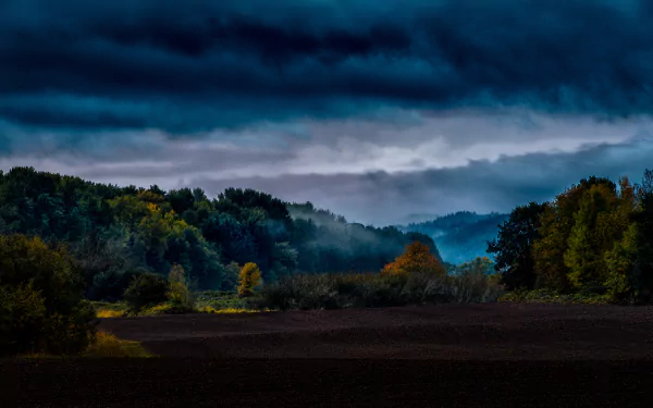 HD desktop wallpaper featuring a serene forest landscape on an Oregon island during fall, with dark clouds looming over the vibrant autumn foliage.