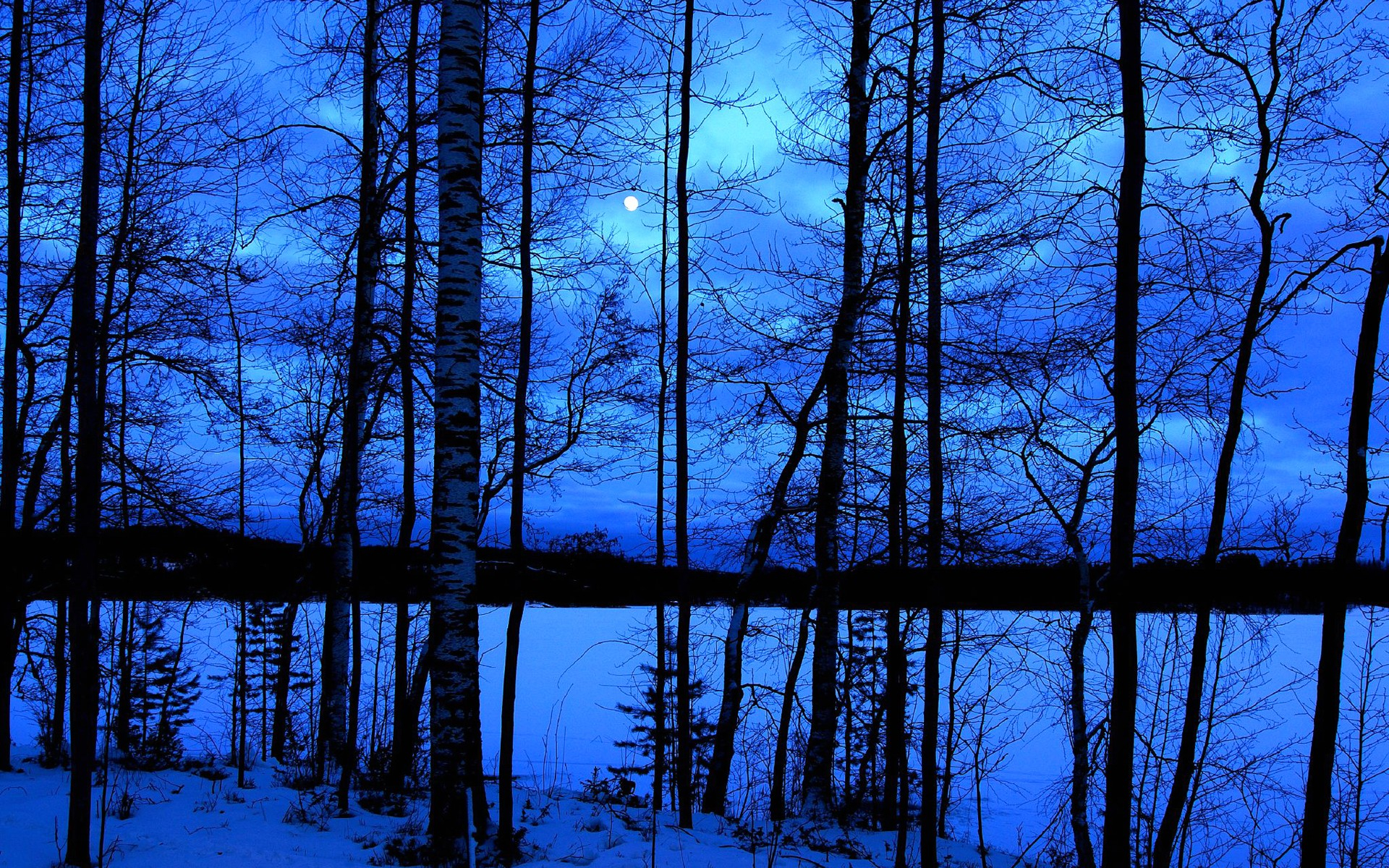 Nature Night HD Wallpaper | Background Image