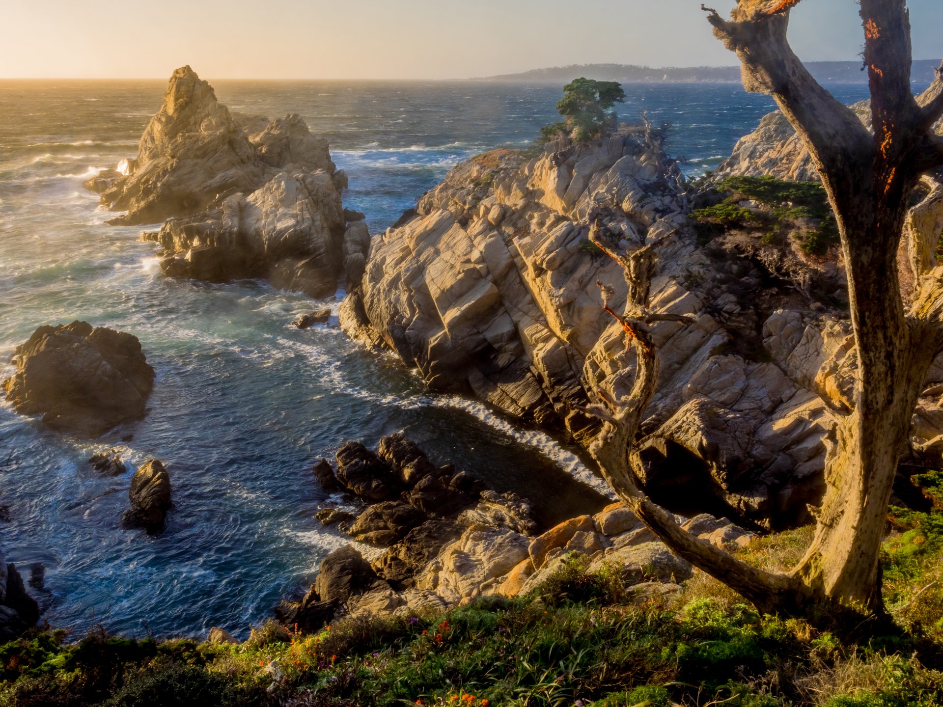 Download Ocean Sea Tree Nature Rock 4k Ultra HD Wallpaper | 4418x3314 ...