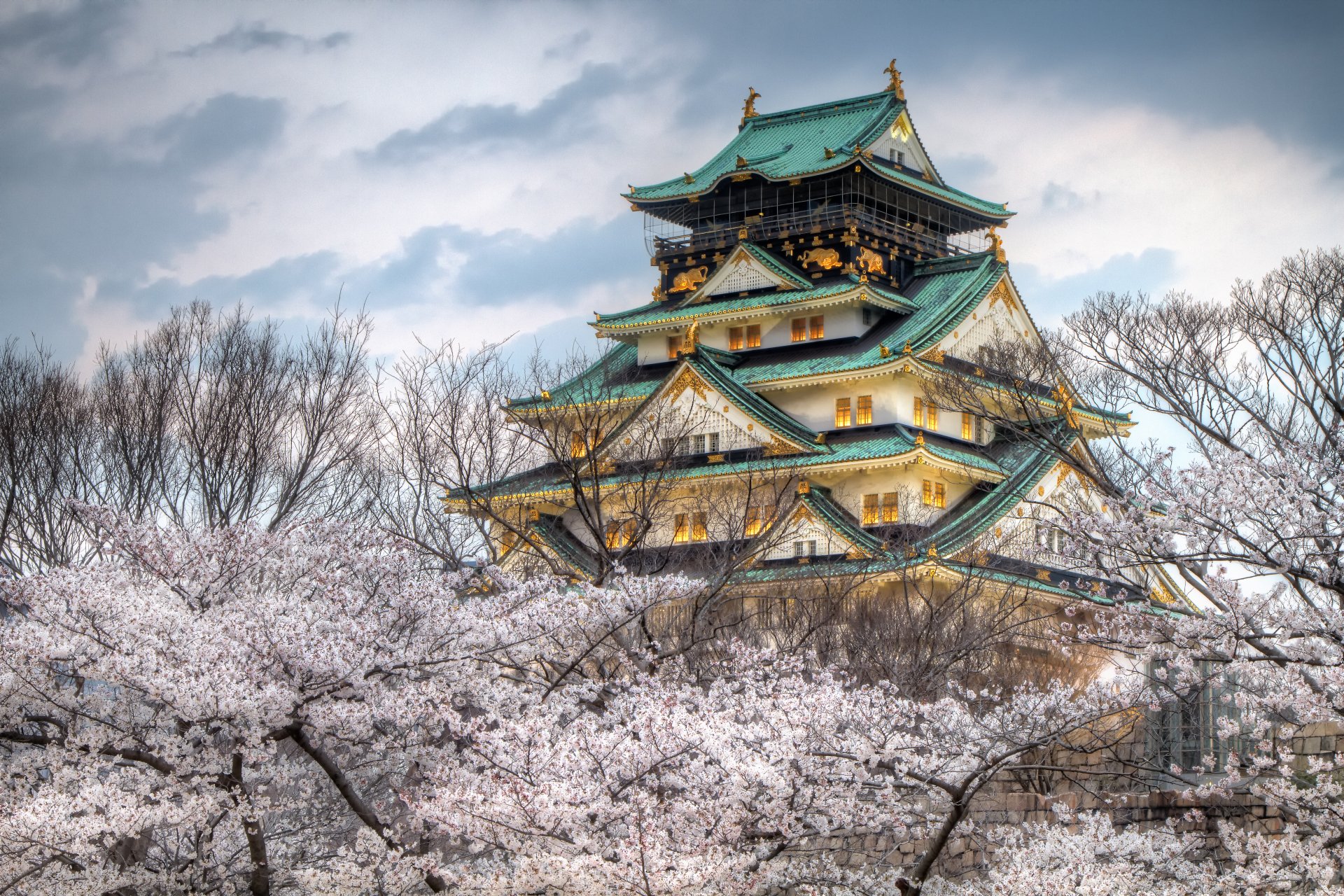 Download Architecture Spring Sakura Japan Osaka Man Made Osaka Castle  4k Ultra HD Wallpaper