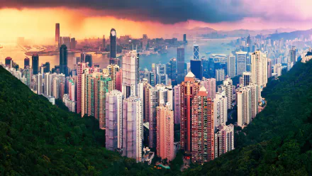 man made Hong Kong HD Desktop Wallpaper | Background Image