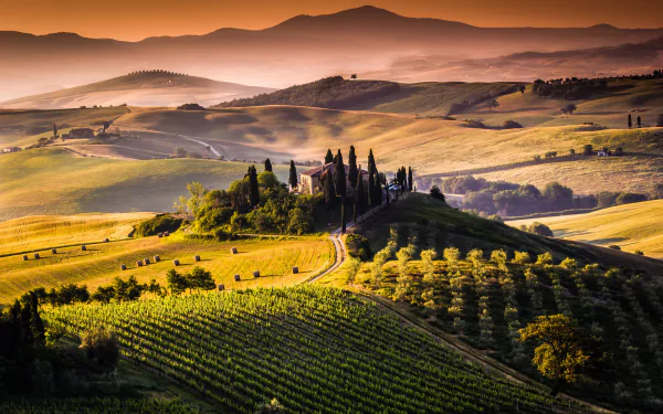 A stunning HD desktop wallpaper showcasing the rolling hills and vineyards of Tuscany, bathed in warm golden light during sunrise, with distant mountains framing the tranquil landscape.