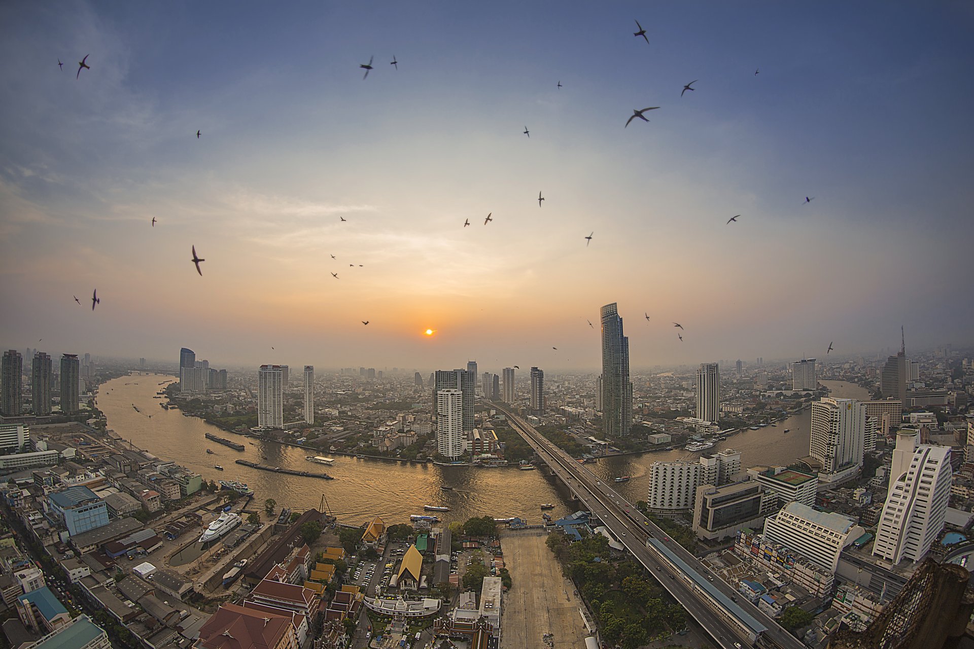 Sunset over the Bangkok megapolis with a river winding through the city, swallows flying across the sky, captured in stunning 4K Ultra HD.