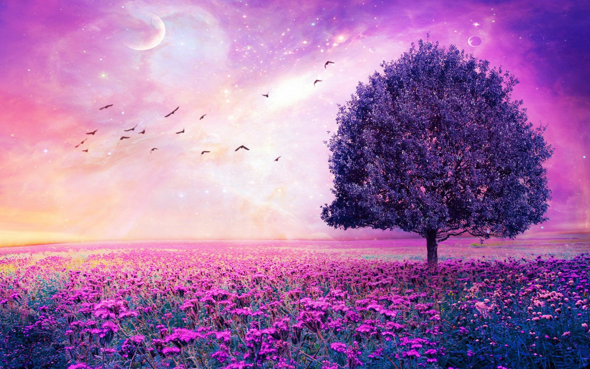 A lone tree stands in a vast field of purple flowers under a dreamy, starry sky with a crescent moon, creating a serene HD desktop wallpaper scene.