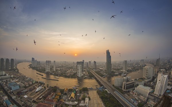Man Made Bangkok Cities Thailand Megapolis Bird Swallow Flying River Sun Sky Sunset HD Wallpaper | Background Image