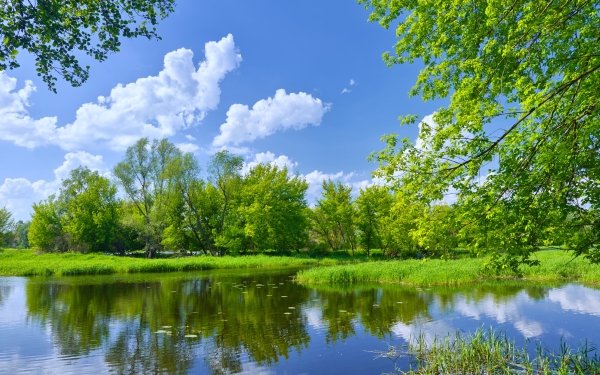 Nature Lake Lakes Landscape Tree Spring Sunny HD Wallpaper | Background Image