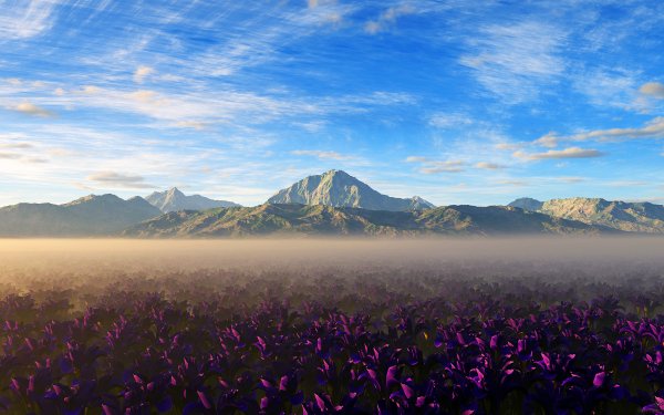 Tierra/Naturaleza Paisaje Naturaleza Pintoresco Nube Montaña Campo Niebla Flor Pink Flower Cielo Fondo de pantalla HD | Fondo de Escritorio