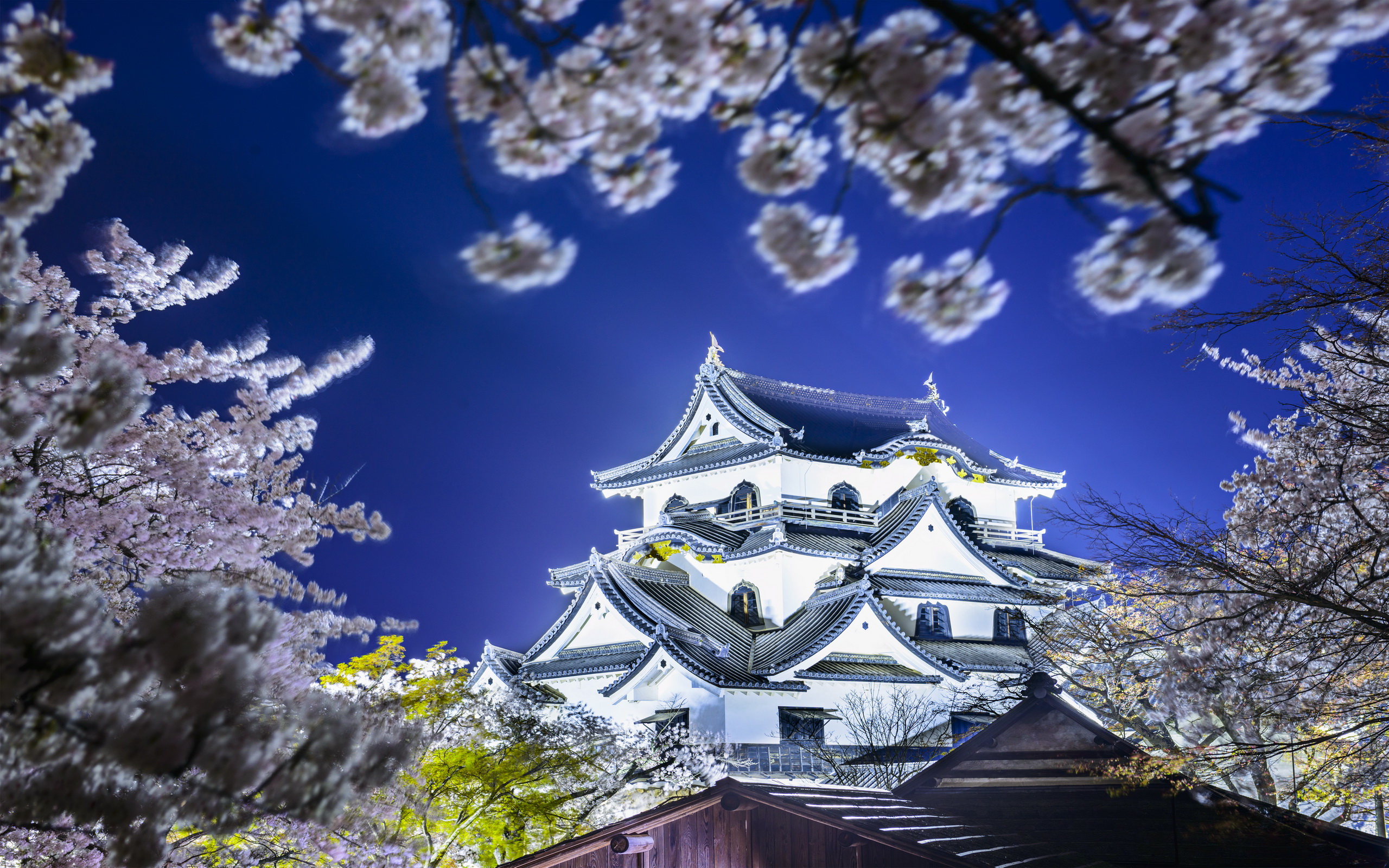 Man Made Hikone Castle HD Wallpaper | Background Image