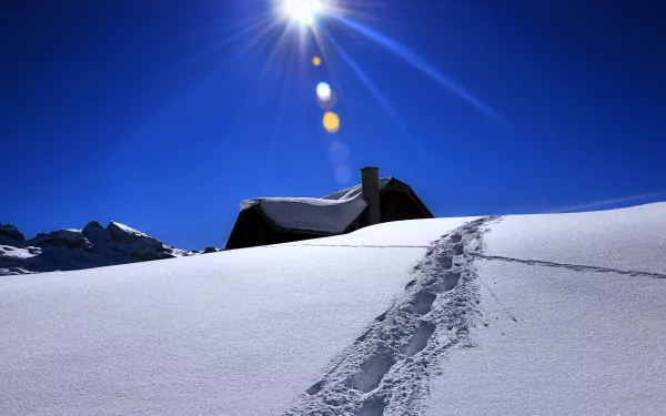  Snowy
