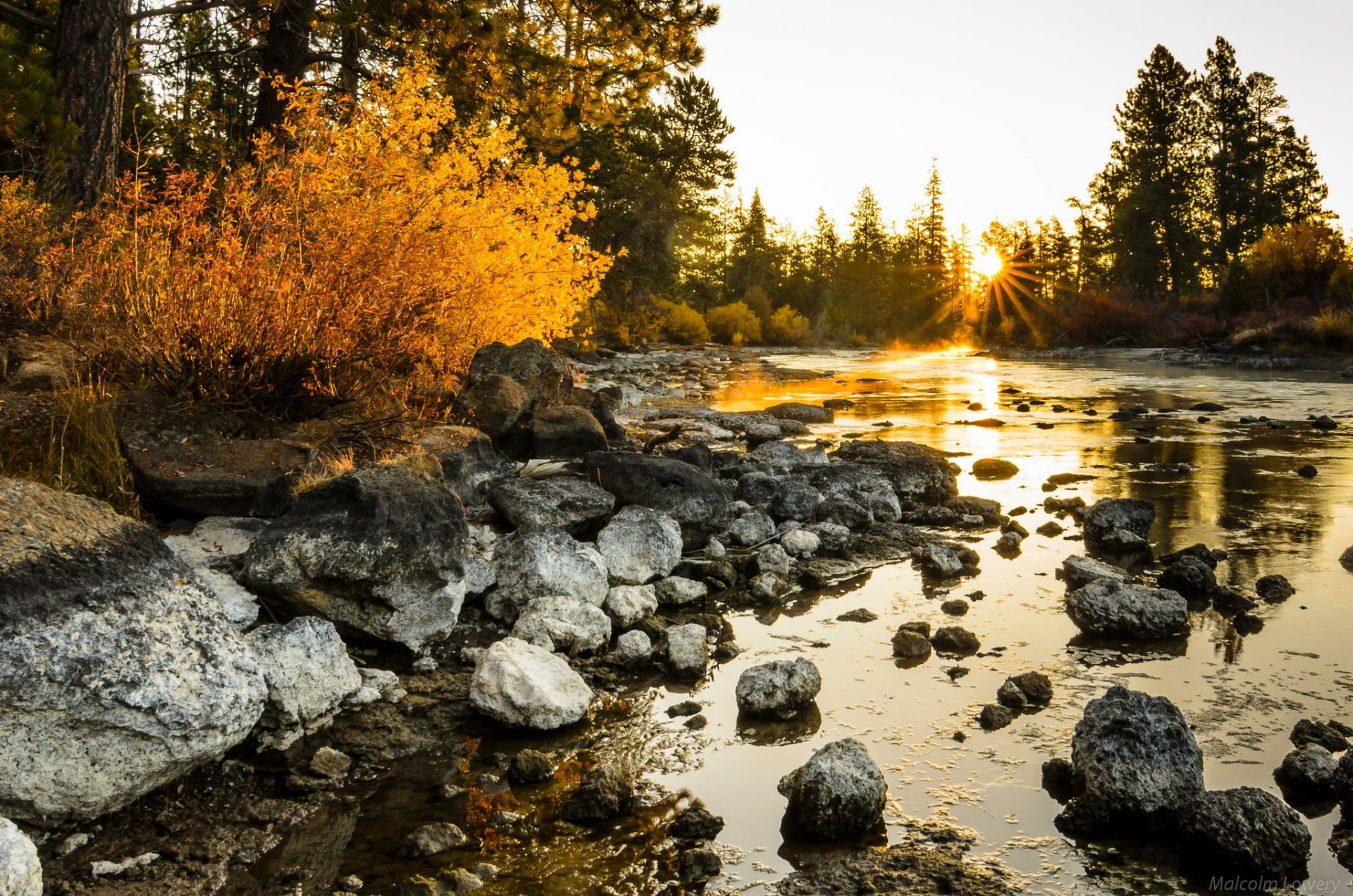 HD nature wallpaper featuring a serene riverside at sunrise with golden foliage and sun rays filtering through tall trees.