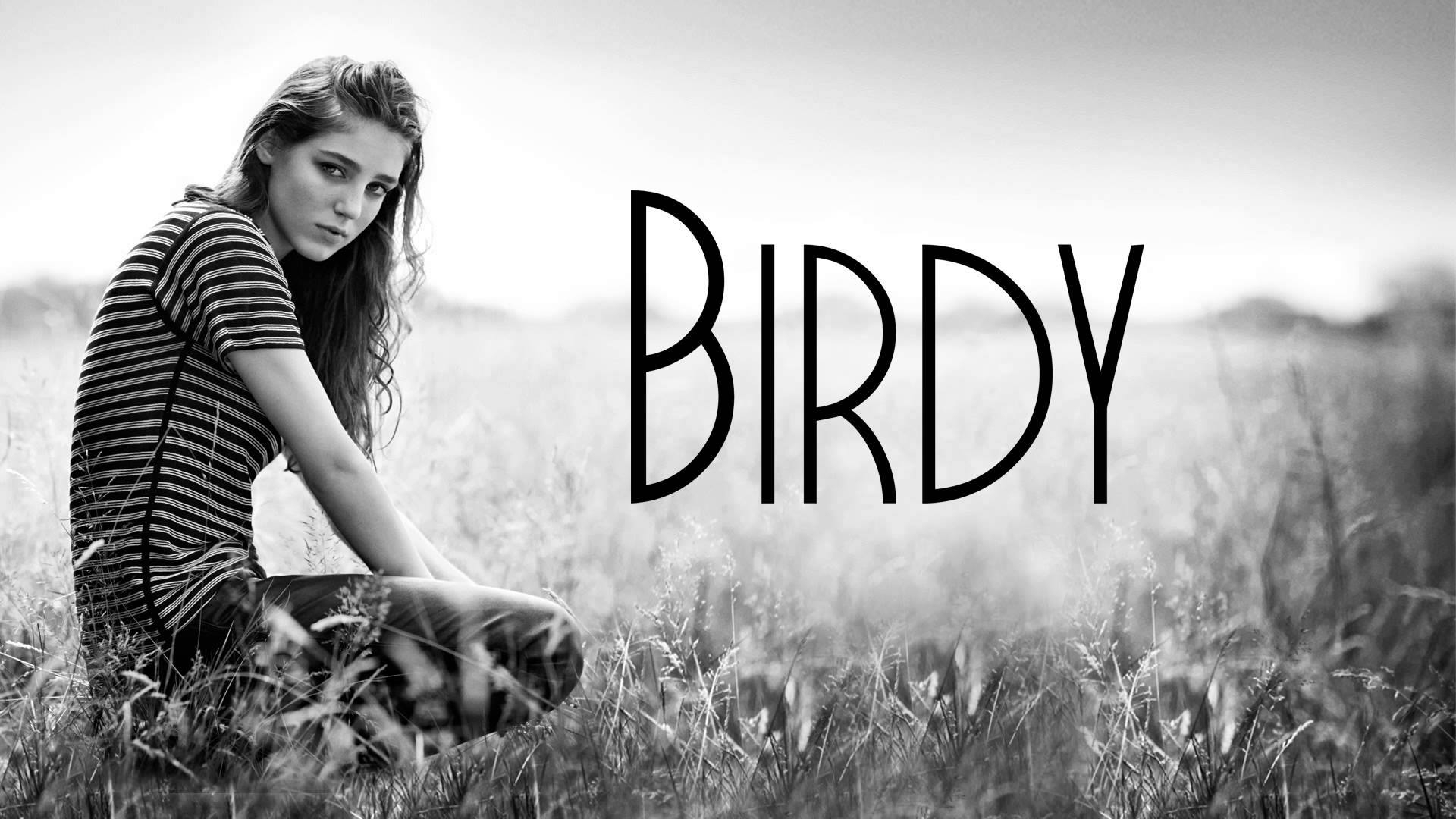 Music Birdy HD Wallpaper | Background Image