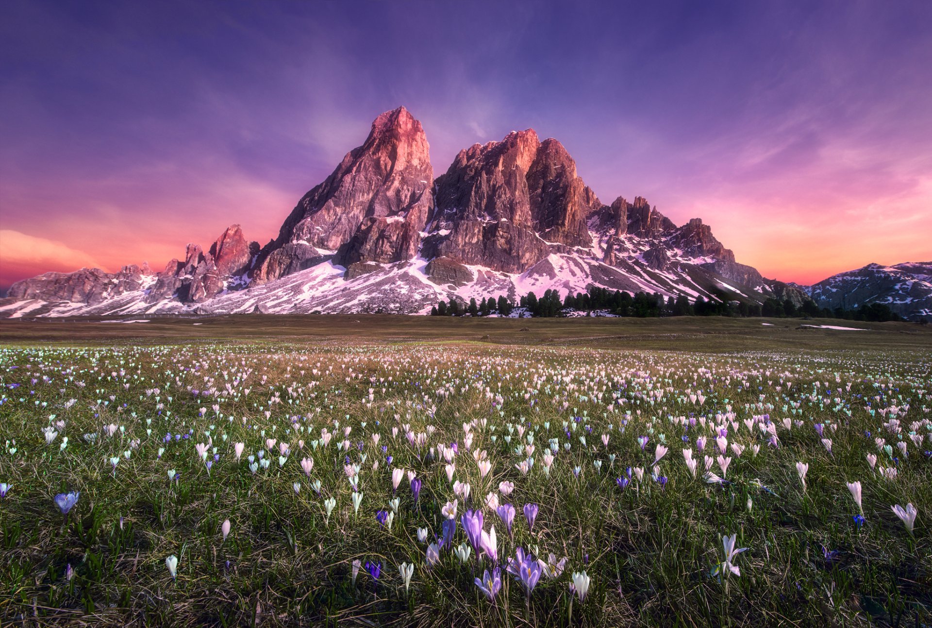 HD desktop wallpaper of a mountain landscape with a rocky cliff, grassy field dotted with flowers, and a vibrant purple sunset sky.
