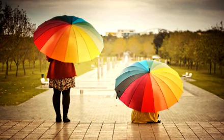 photography umbrella HD Desktop Wallpaper | Background Image