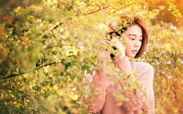 Women Lín Yǔ Model Asian Taiwanese Leaf Sunshine HD Wallpaper | Background Image