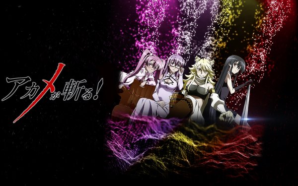 Anime Akame ga Kill! HD Wallpaper | Background Image