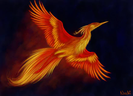 HD desktop wallpaper featuring a vibrant, fiery phoenix in flight against a dark background, showcasing fantasy elements with glowing wings and tail.