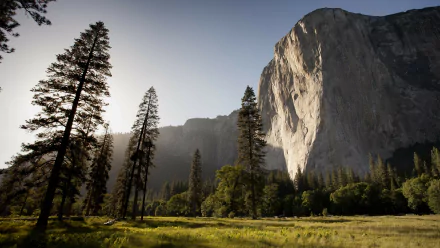 HD wallpaper featuring a serene landscape with towering trees and a majestic cliff, bathed in warm sunlight.
