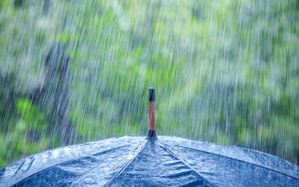 4K Ultra HD photography of an umbrella in heavy rain with a blurred green background, captured in sharp detail for a vivid PC desktop wallpaper.